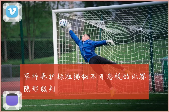 草坪养护标准揭秘不可忽视的比赛隐形裁判