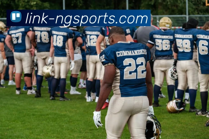 App Interface Preview