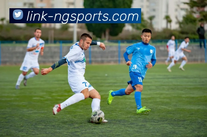 NG体育APP 封面图